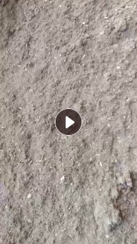 出售空分毛毛料