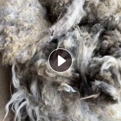 长期出售真羊毛，羊毛，现货有100吨，货在土库曼斯坦