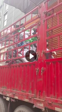 出售涤纶小卷布，涤纶布，门幅2.7克重60-70，现货有50吨，货在江苏宿迁