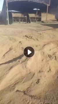 出售厂子炼的硅锰合金，除尘灰，每天15吨，给烟钱就拉走，