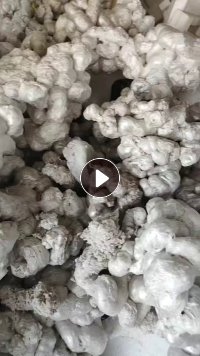 出售冷熔块，社会料和厂料各占50%左右，现货十几吨