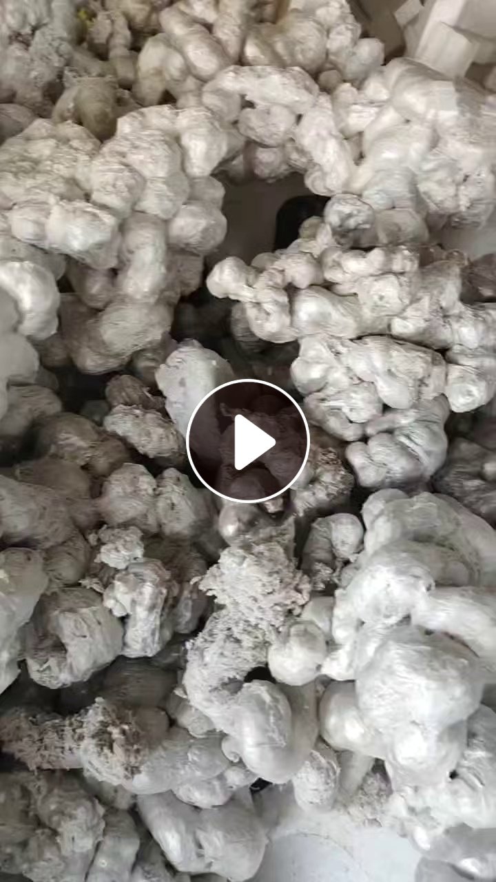 出售冷熔块，社会料和厂料各占50%左右，现货十几吨