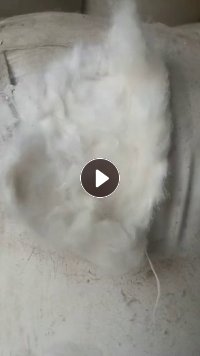 长期出售丝棉下脚料开出来的再生棉，现货十吨