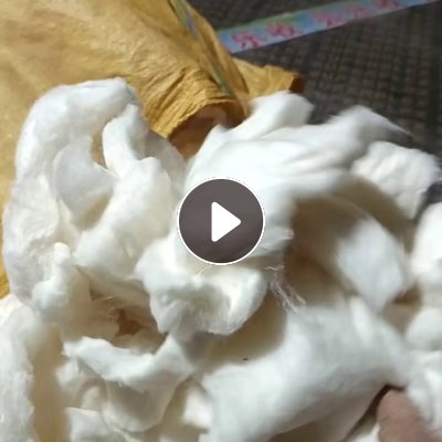 长期出售棉条，棉花，纯棉棉花，现货有十几吨，货在河南焦作