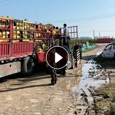 求购pet烫金膜，用来做绳子的，月需100吨