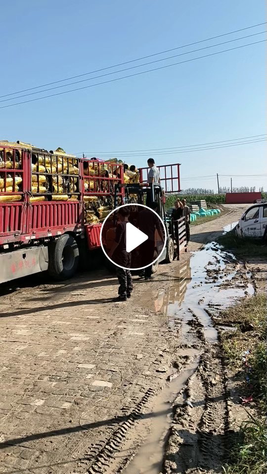 求购pet烫金膜，用来做绳子的，月需100吨
