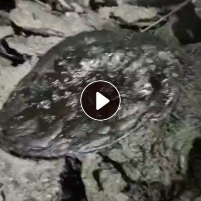 长期出售pp料，可以做皮革纸用的料子