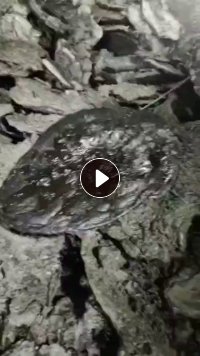 长期出售pp料，可以做皮革纸用的料子