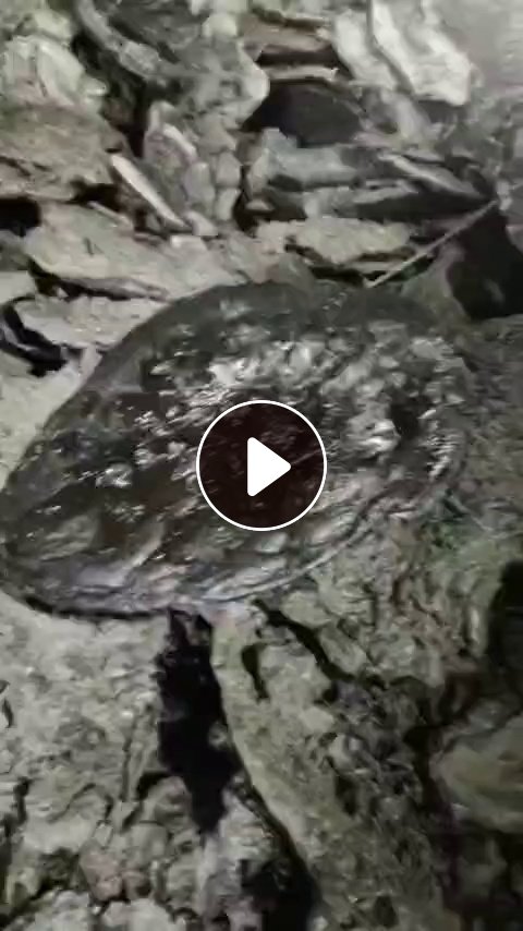 长期出售pp料，可以做皮革纸用的料子