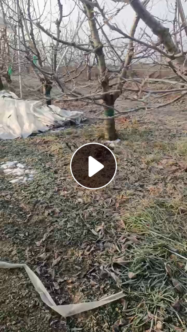 出售PE大棚膜，含尼龙条，现货够4.2米一车