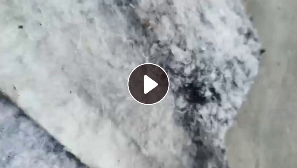 长期大量收购汽车内饰料，开花做土工布毛毡的，每个月100吨左右， 厂在湖北襄阳