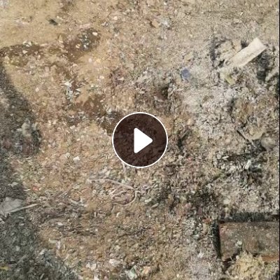 出售风选商标纸，破碎壶料风选下来的，现货一挂