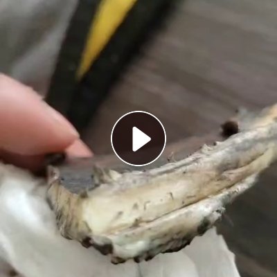 出售PP除雾器管道毛料，碳素厂下来的，有100多根，长期有货