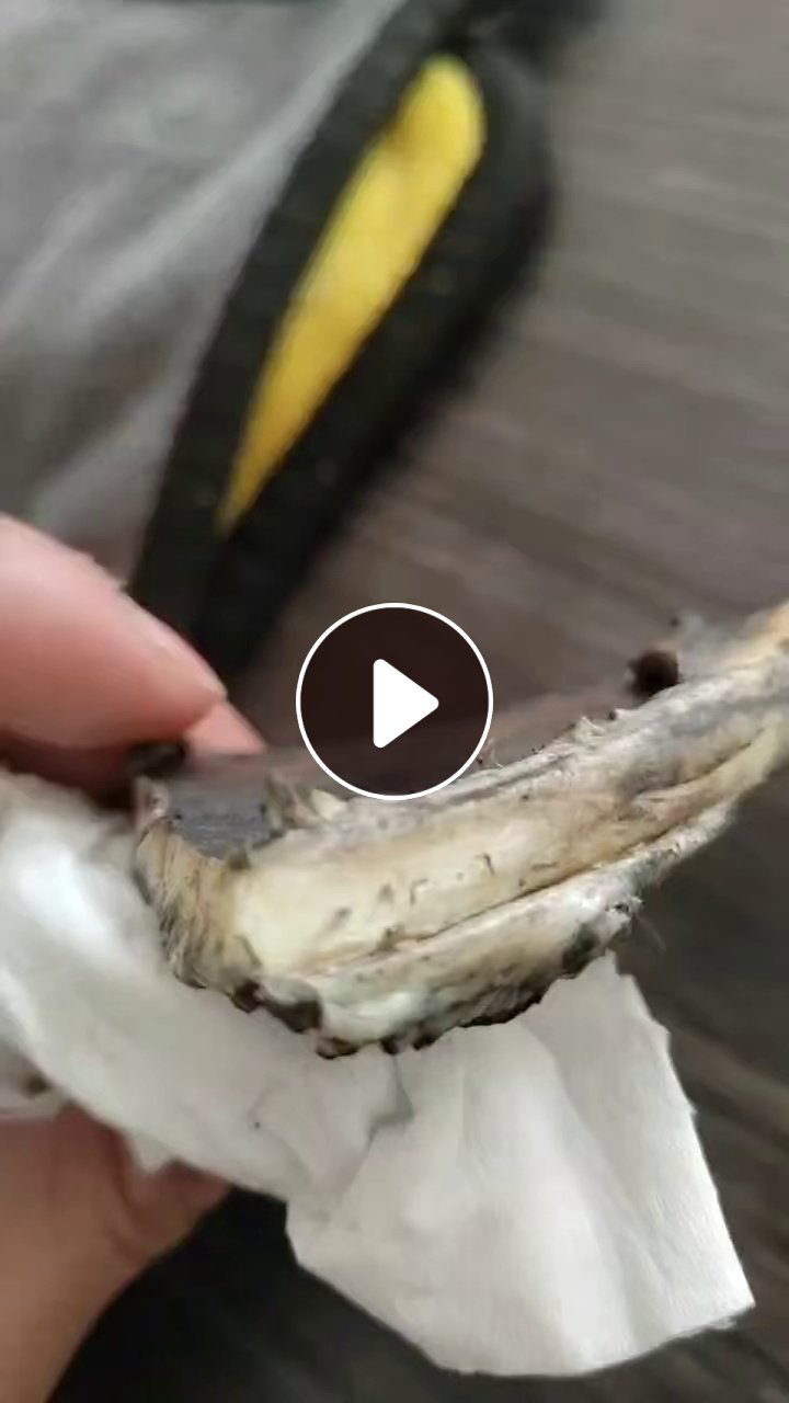 出售PP除雾器管道毛料，碳素厂下来的，有100多根，长期有货