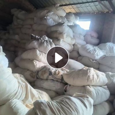 长期出售旧衣服大白，白料，开花料，现货只有七八吨，货在河北衡水