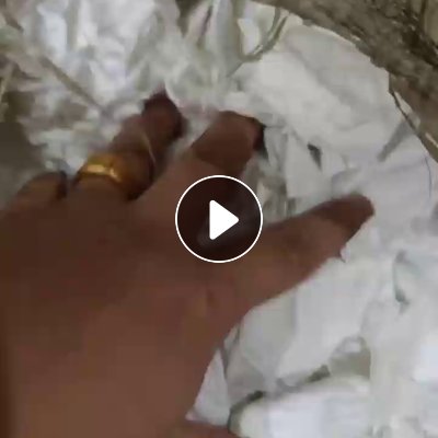 出售纯白色涤锦废布，干净的，长期有货