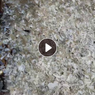出售B级PET破碎料，含有一点PVC，长期有货