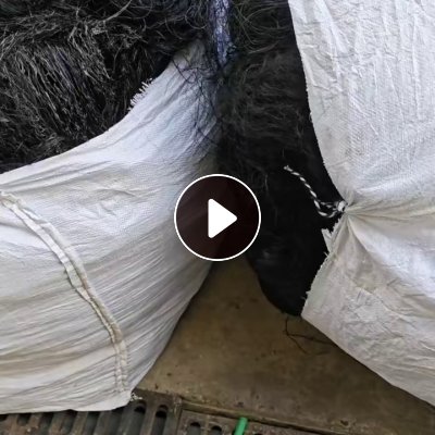 出售做短纤下来的丙纶废丝，PP废丝，有黑色和白色，用的是镇海石化Y26,现货有9.6米一车