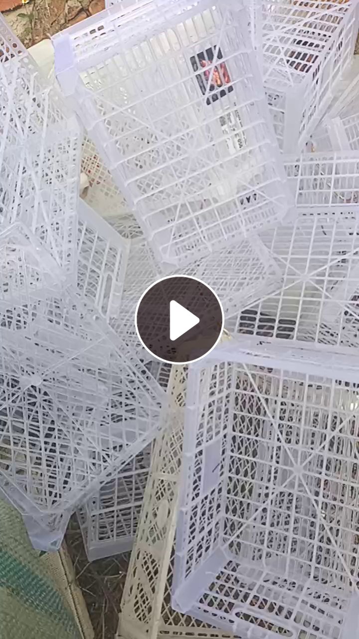 出售透明水果筐毛料，未压包，长期有