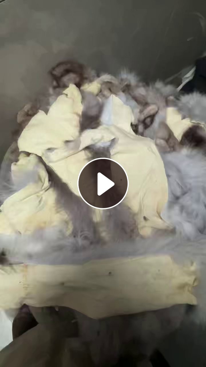 出售貂皮大衣裁下来的比边角料，真毛料，狐狸皮下脚料，现货有5吨左右，货在浙江嘉兴