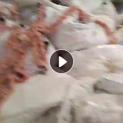 长期出售杂色涤棉布边纱，中间涤纶的，月供三四十吨