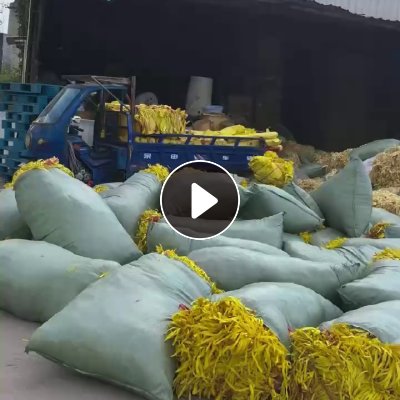 长期出售迷信纸边角料，大部分竹浆材质，黄色和本色都有