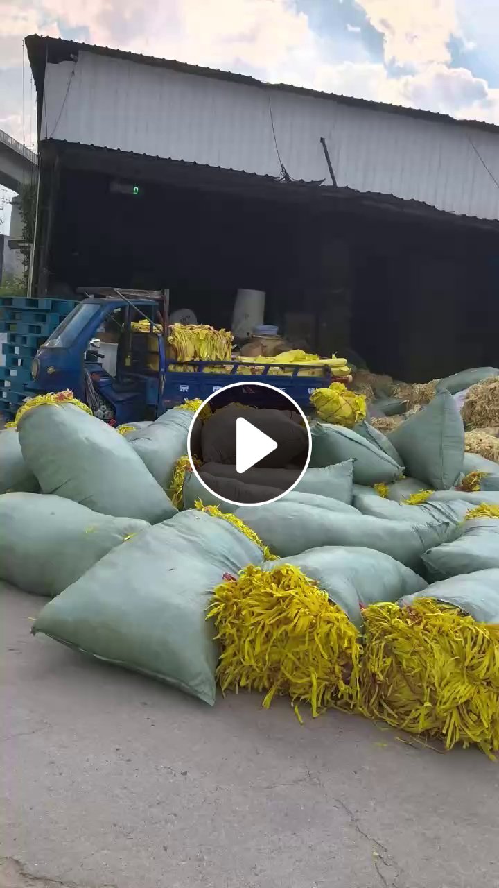 长期出售迷信纸边角料，大部分竹浆材质，黄色和本色都有