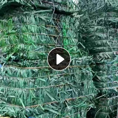 出售PET打包带废料，现货30多吨，厂货