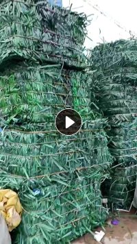 出售PET打包带废料，现货30多吨，厂货