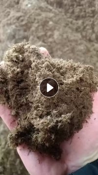 出售小麦秸秆浆，水分60%