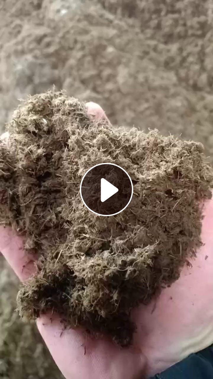 出售小麦秸秆浆，水分60%