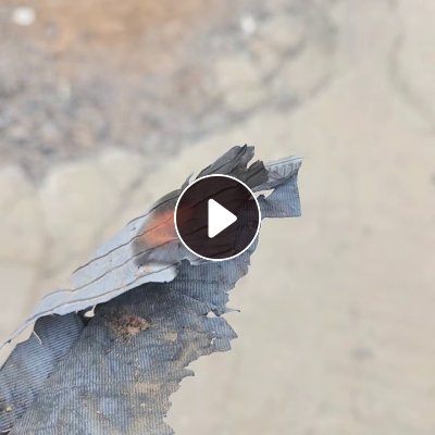 出售PP电瓶隔层膜废料，大量有货