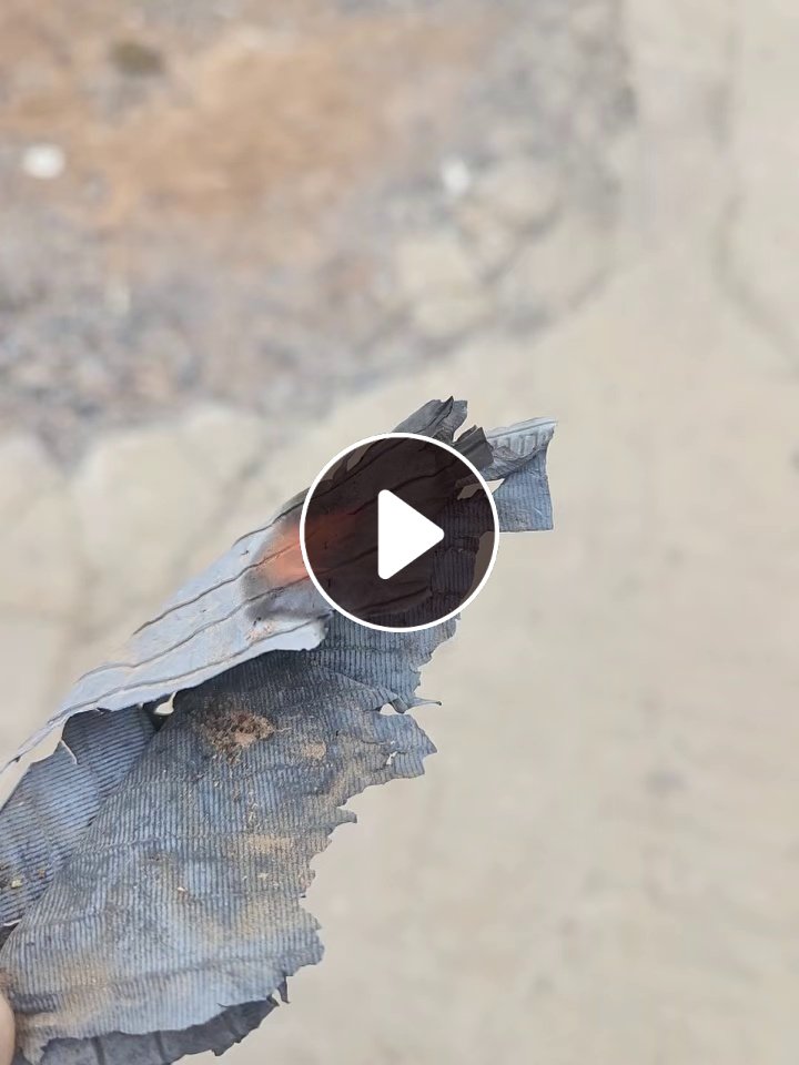 出售PP电瓶隔层膜废料，大量有货