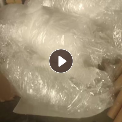 出售干造pp膜，可以直接下机的