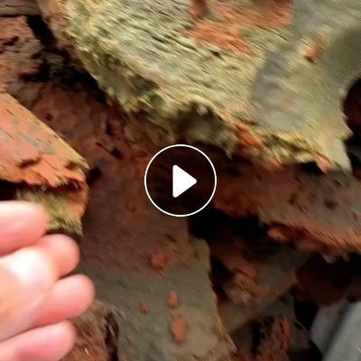 长期出售纸浆渣，水分40%左右