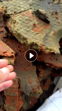 长期出售纸浆渣，水分40%左右