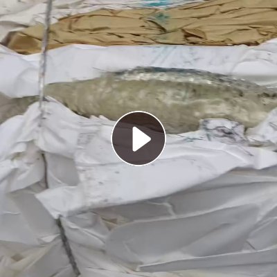 长期出售不干胶废纸