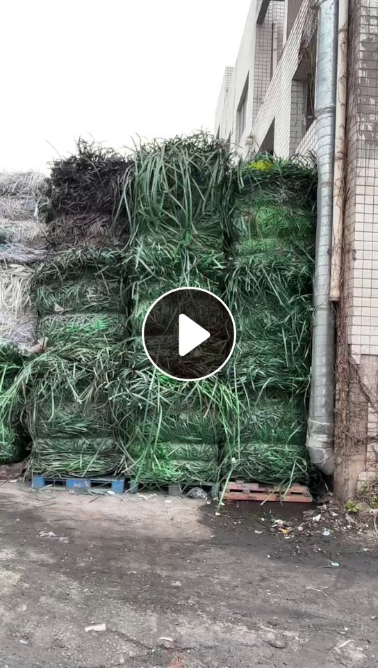 出售pet打包带毛料，绿色、黑色都有， 现货60吨