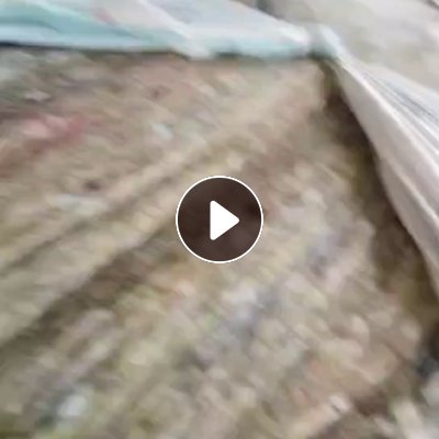 长期出售开松好的丝绵，三色棉，现货十吨