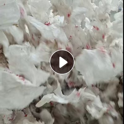 长期出售白色柑橘果袋纸废料