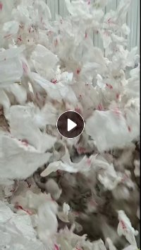 长期出售白色柑橘果袋纸废料