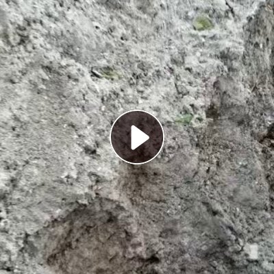 出售塑钢沫子，甩干机下来的，长期有货