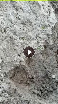 出售塑钢沫子，甩干机下来的，长期有货