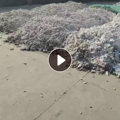 出售进口的甘蔗浆、竹浆的混合尾浆