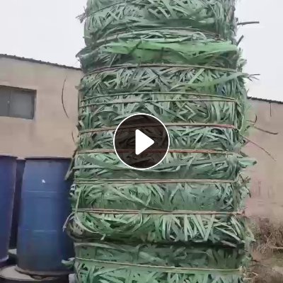 出售PET打包带毛料，长期有货