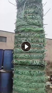 出售PET打包带毛料，长期有货