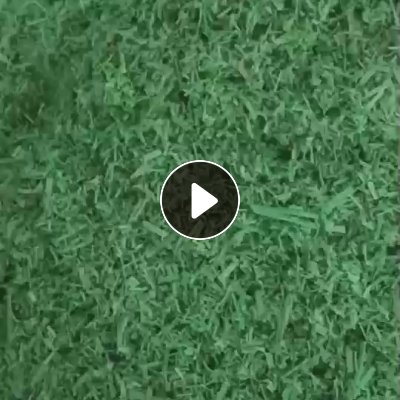 出售绿色PET打包带破碎料，水破的，现货够