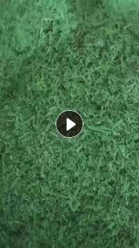 出售绿色PET打包带破碎料，水破的，现货够