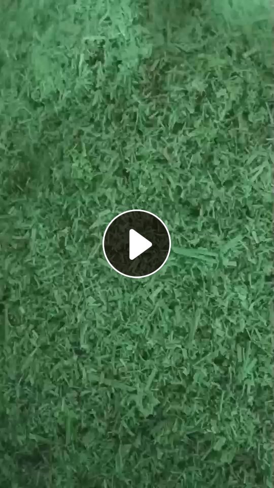 出售绿色PET打包带破碎料，水破的，现货够