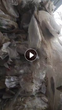 长期出售聚乙烯塑料布，水洗的，现货13米车（23吨左右）